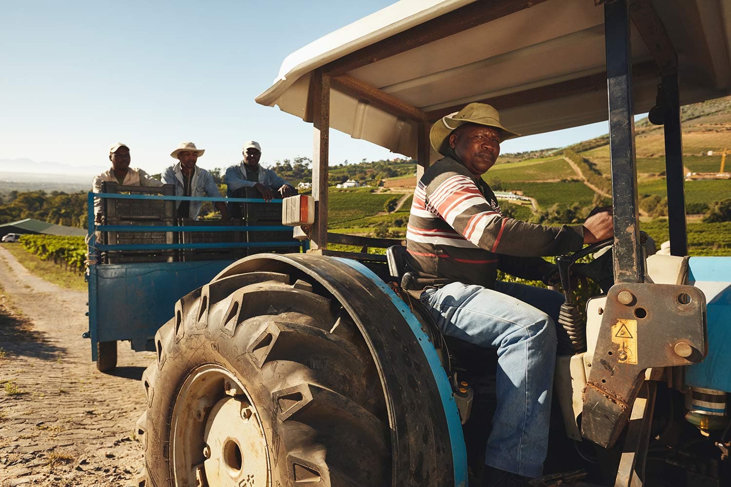 Imagine a Nigeria with  a thriving agricultural infrastructure...