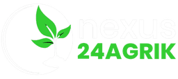 Nexus24