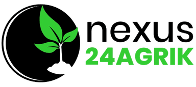 Nexus24 Agrik Logo