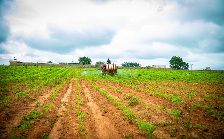 Nexus24 Commodities Exchange