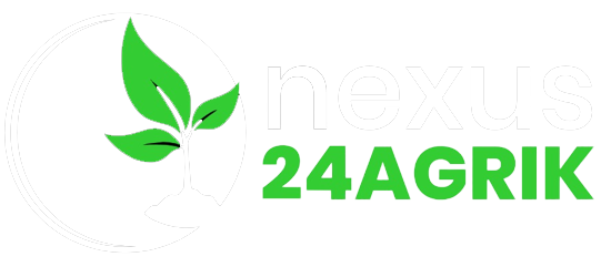 Nexus24